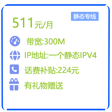 300M静态IP商务专线